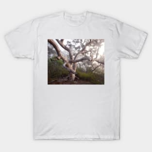 Tangled Branches T-Shirt